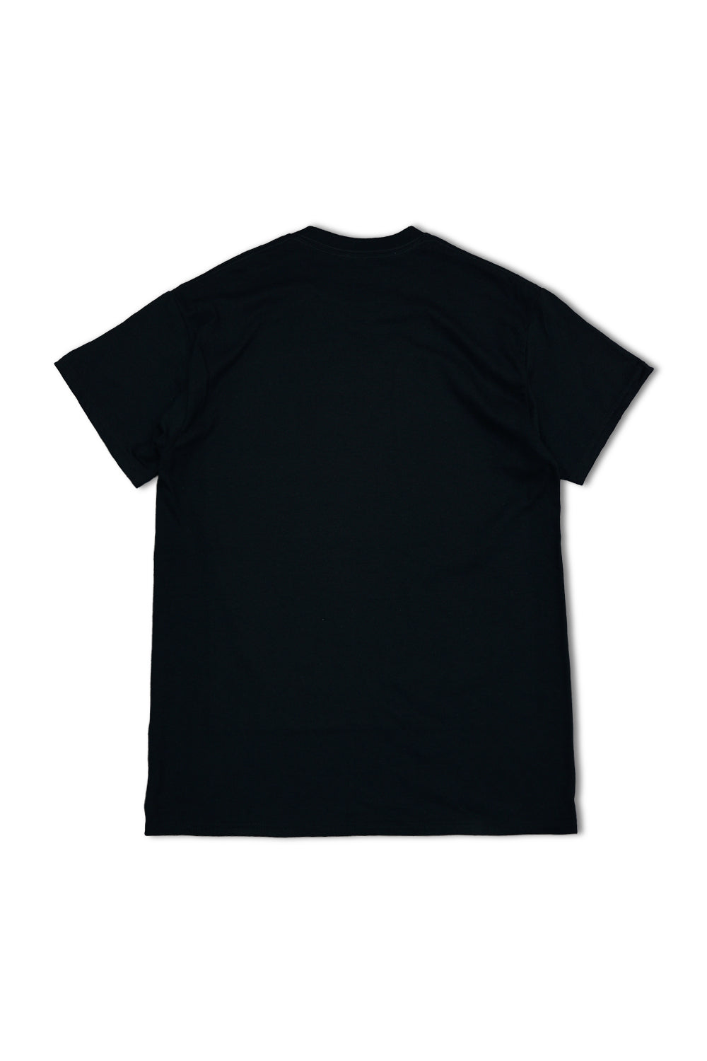 Graphic Tees - Love The Haters T - Shirts