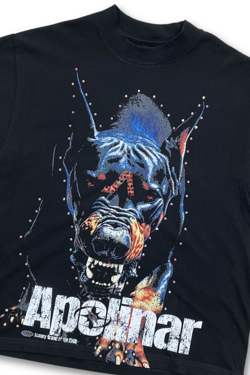 Apolinar Dogs Boxy Oversized T - Shirt