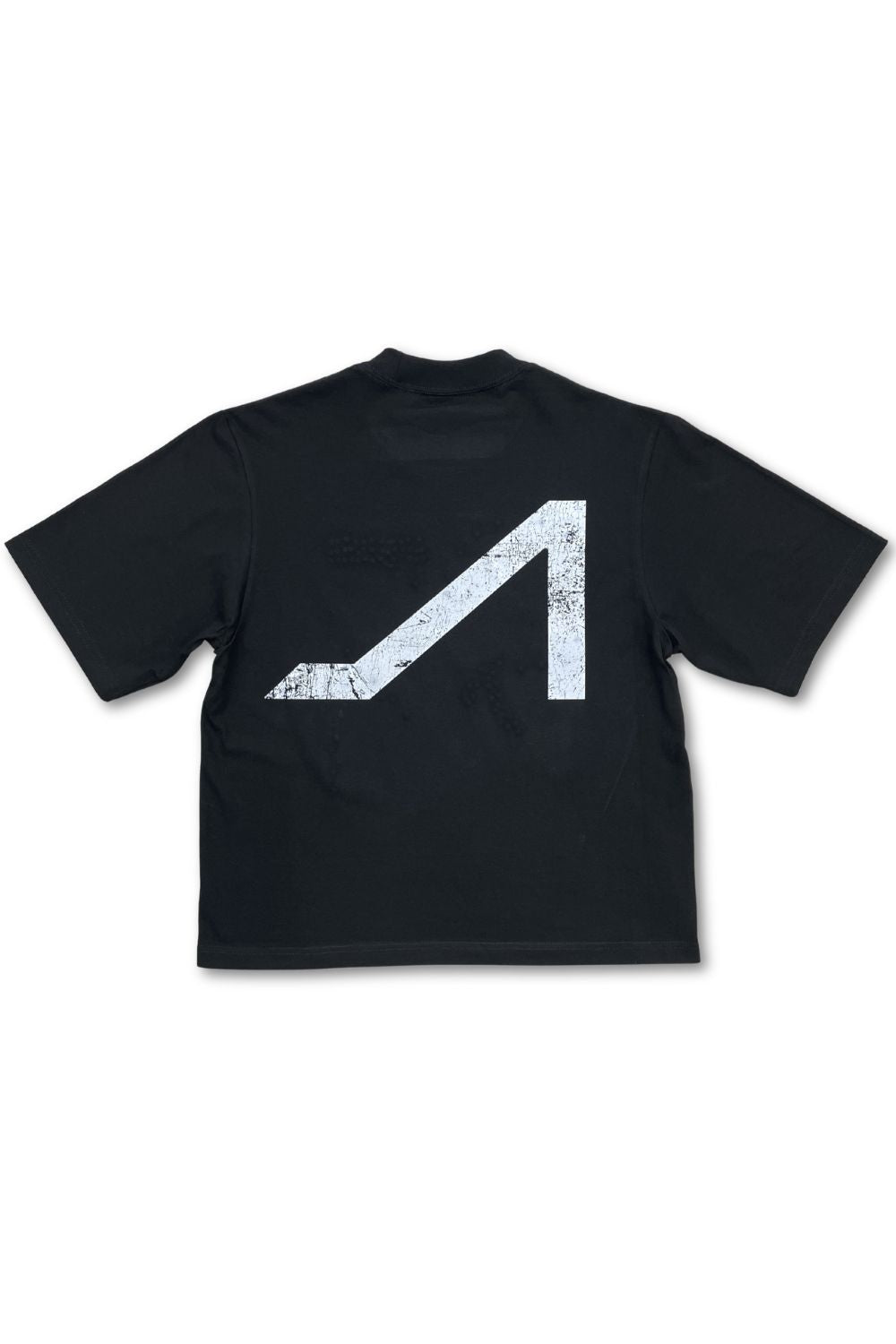 Apolinar Wolf Boxy Oversized T - Shirt