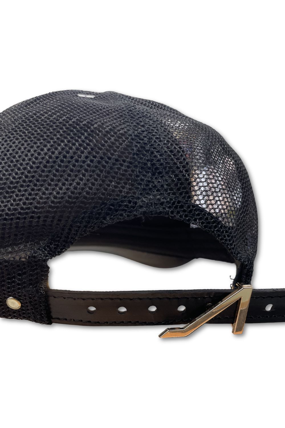 Apolinar Dreams Trucker Hat