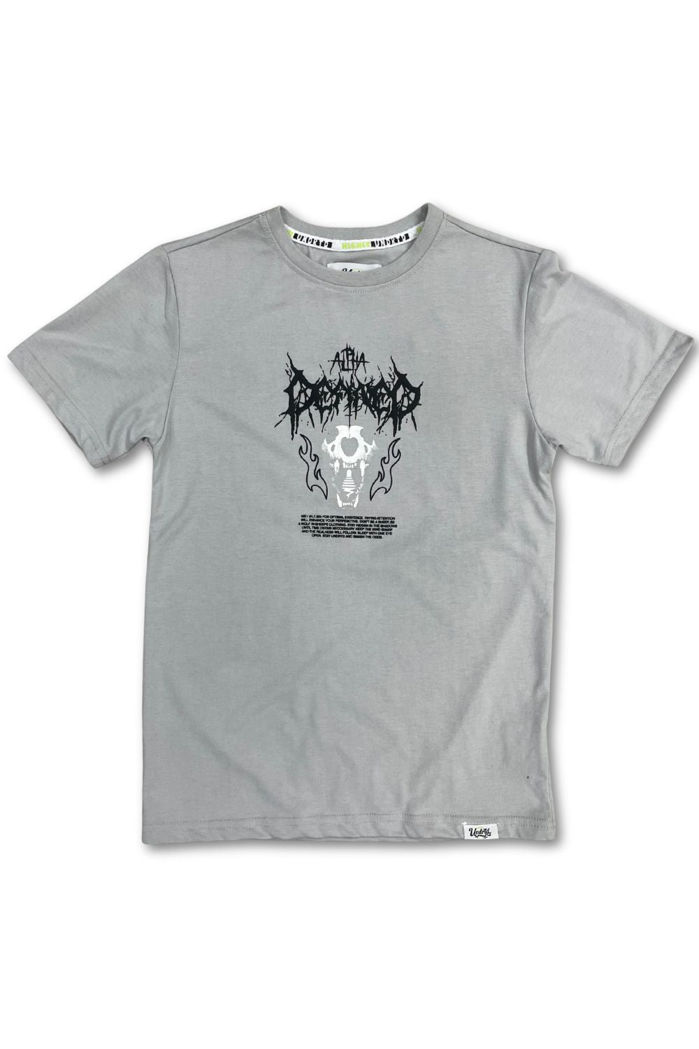 Kids Undrtd At The Top Short Set - Grey