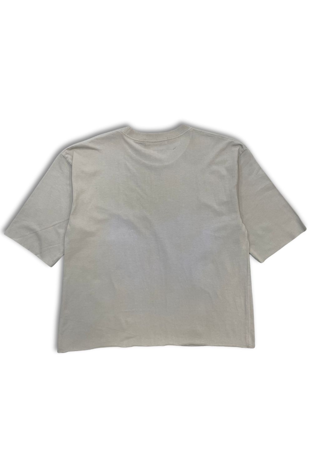 Chosen Rhinestone Cropped Graphic T - Shirt - Beige